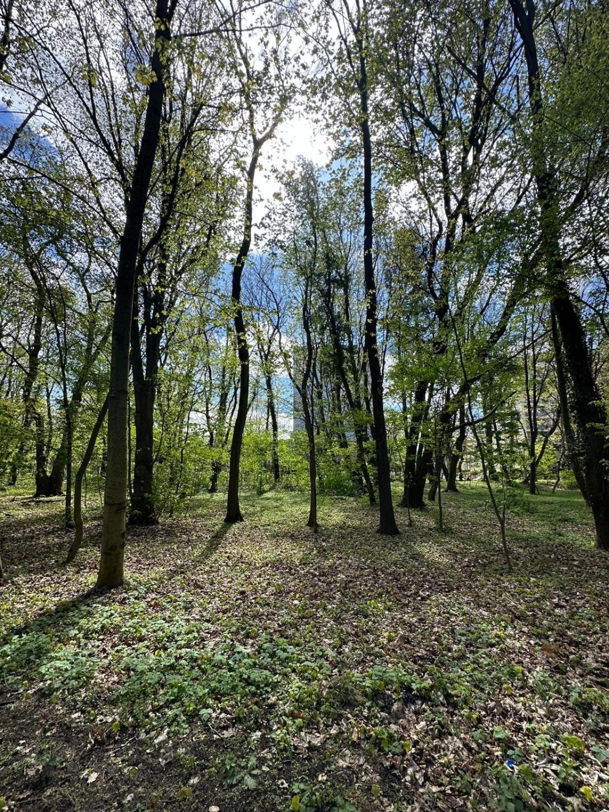 Apartamenty Kapitanskie Blizej Morza Kolobřeh Exteriér fotografie